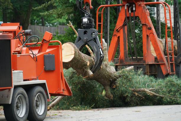 Best Utility Line Clearance  in Uintah, UT